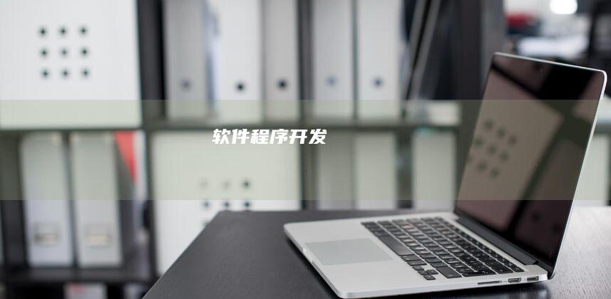 软件程序开发