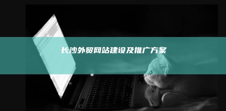 长沙外贸网站建设及推广方案