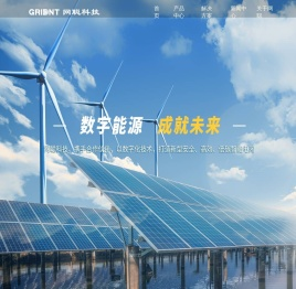 山东网聪信息科技有限公司