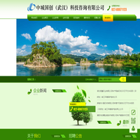 中城国创（武汉）科技咨询有限公司