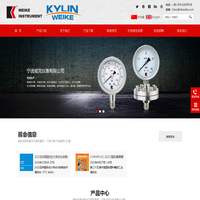 宁波威克仪表有限公司|普通压力表|充油压力表|压力式温度计|工业力计温度计|压力变送器|压力传感器