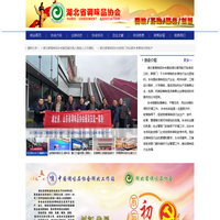 湖北调味品协会官方网站