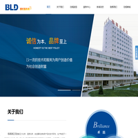 BLD/北京布莱迪仪器仪表有限公司