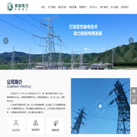 湖南森能电力科技有限公司