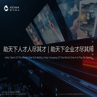 深圳市啸马生涯信息技术有限公司