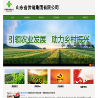 山东省供销集团有限公司