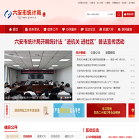 六安市统计局