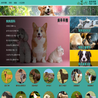 疯乖乖圈宠物网_宠物猫狗价格特点图片_专业宠物平台