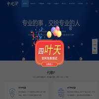 中屹IP_高匿动静态HTTP、SOCKS5代理IP_在线ip代理服务器
